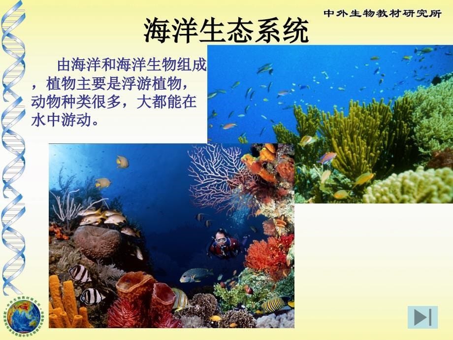 生物圈中的各种生态系统_第5页