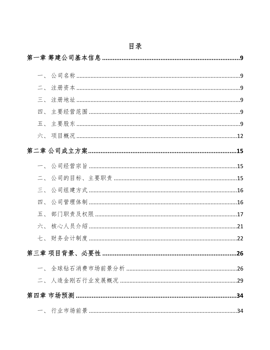 青海关于成立金刚石公司可行性研究报告(DOC 112页)_第4页