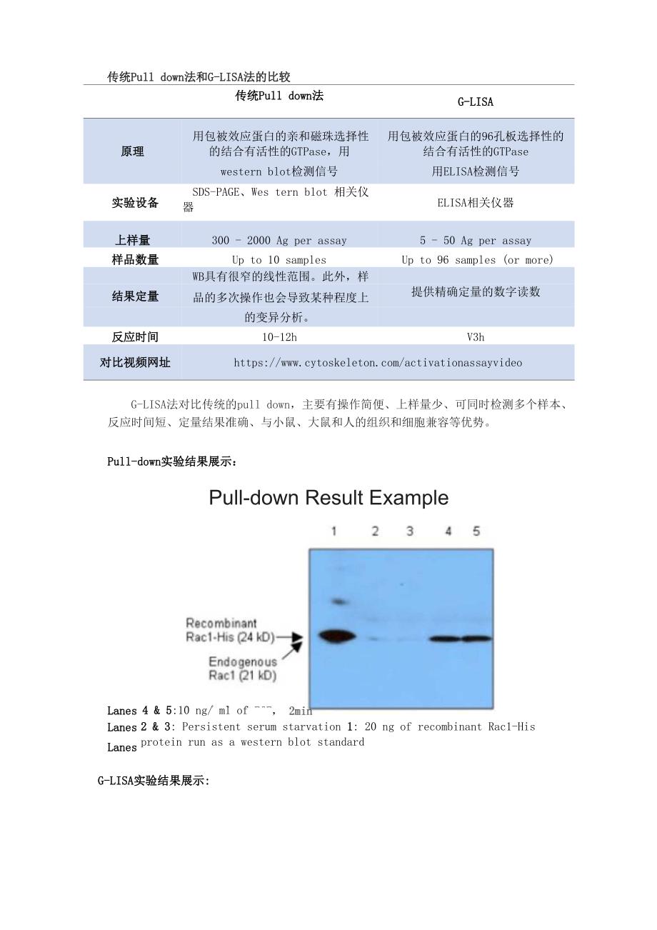 G-LISA法：高效快捷的小G蛋白活化检测方案_第4页