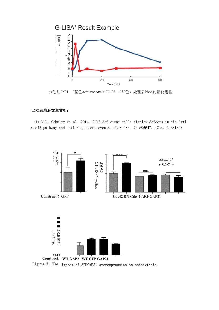 G-LISA法：高效快捷的小G蛋白活化检测方案_第5页