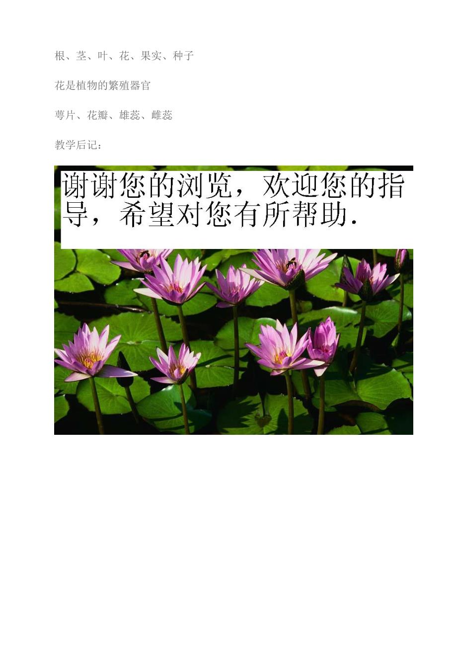 四年级科学下册油菜花开了教学设计_第4页