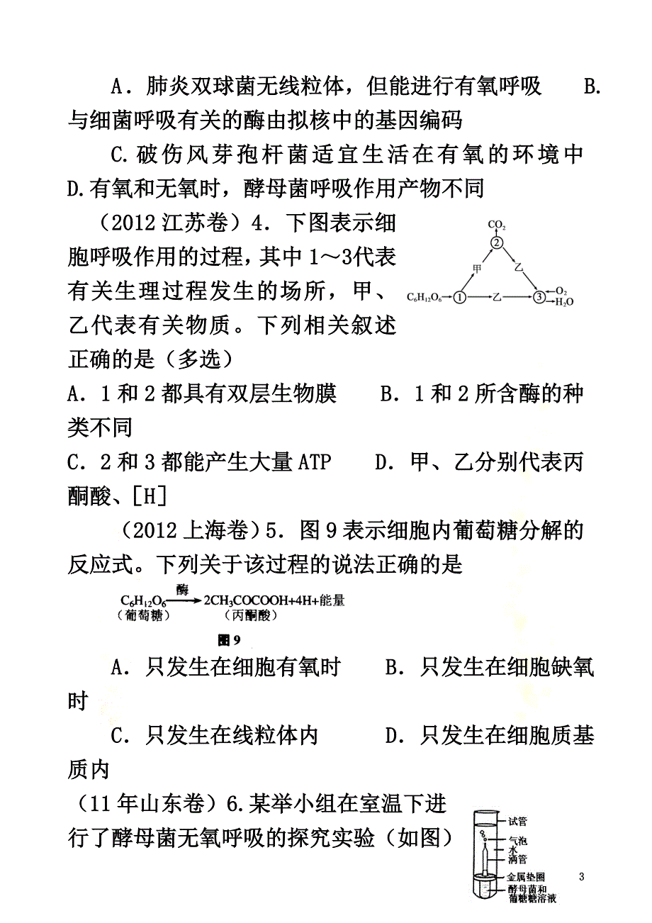 七年级生物上册第3单元第5章绿色开花植物的生活方式第2节呼吸作用练习题（新版）北师大版_第3页