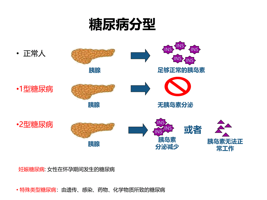 糖尿病健康教育_第3页