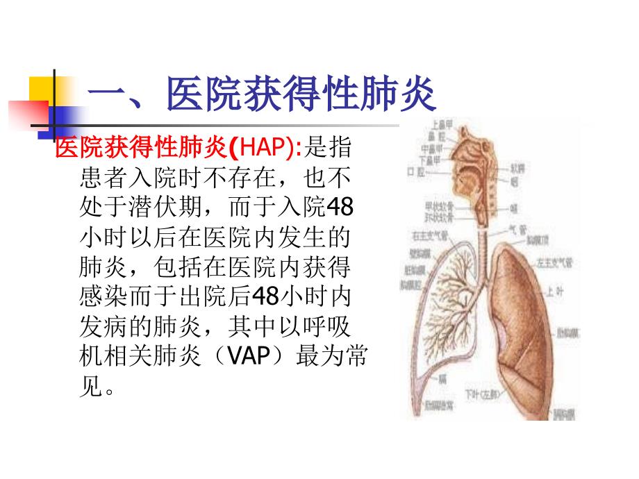 重点部位医院感染预防与控制1_第3页