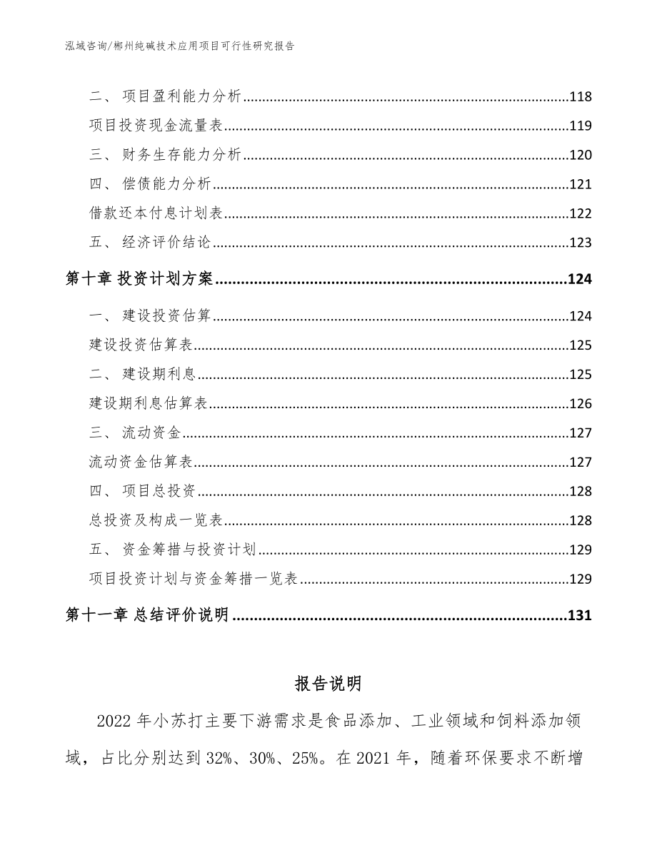 郴州纯碱技术应用项目可行性研究报告_第4页