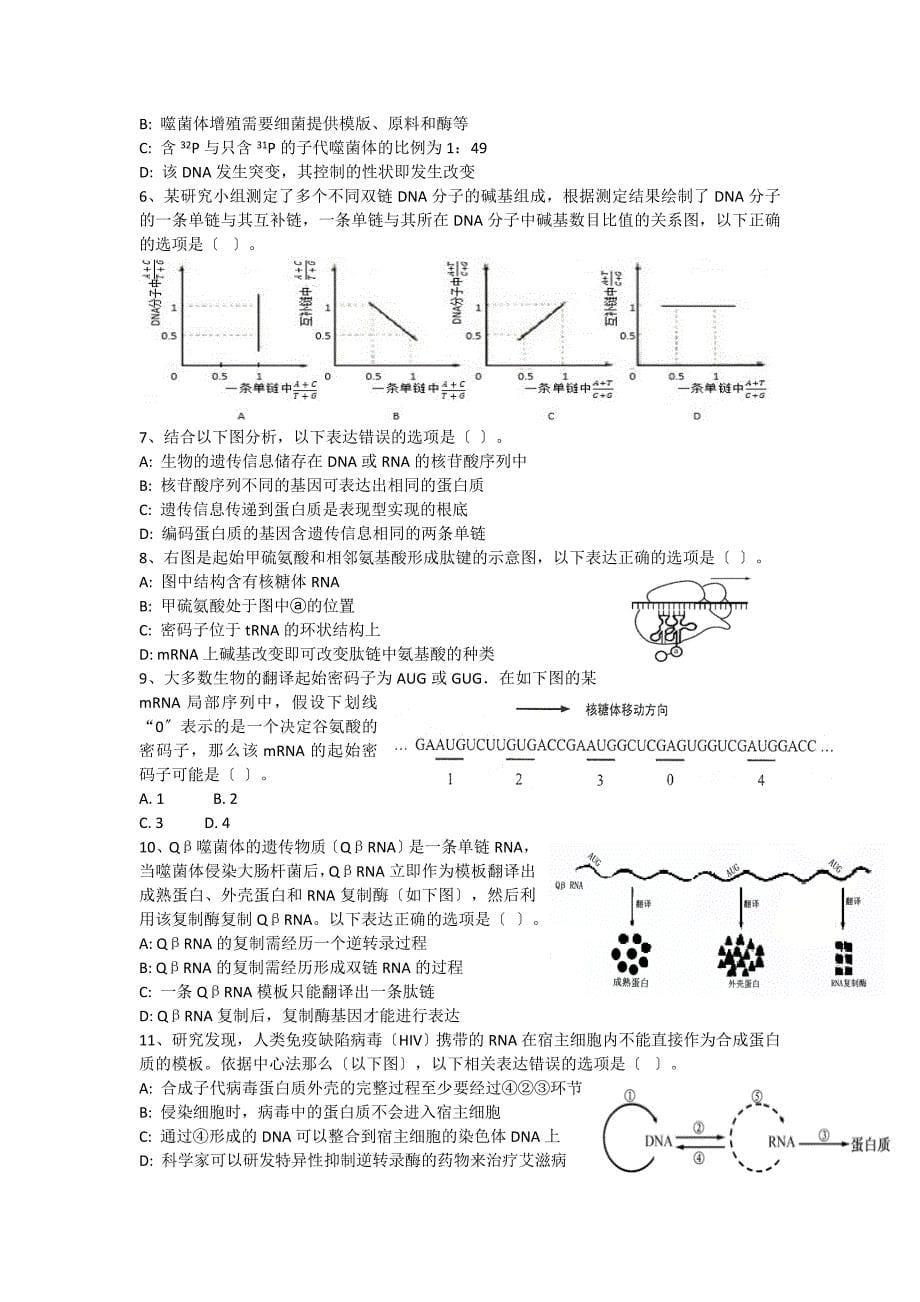 遗传信息的传递_第5页