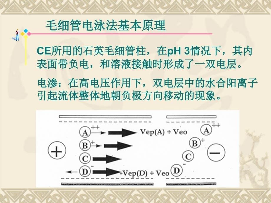 毛细管电泳法_第5页