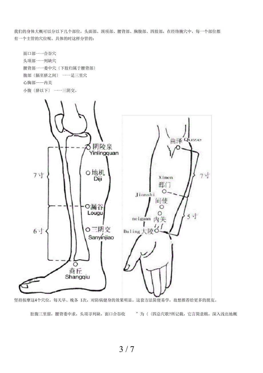 主管人体的四总穴合谷三里列缺委中_第3页