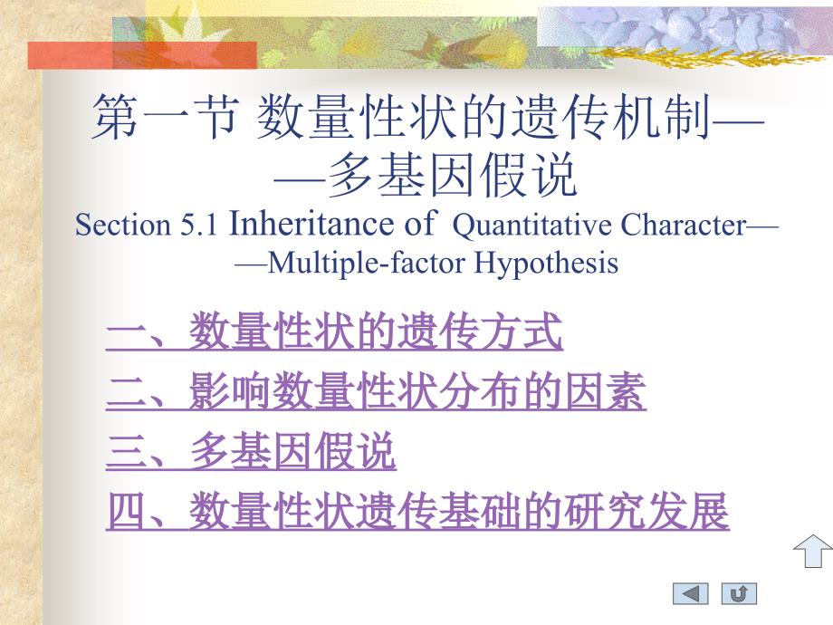 数量性状的遗传机制多基因假说_第1页