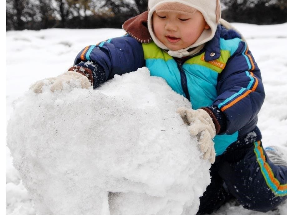 人教版小学一年级语文上册雪地里的小画家课件_第5页