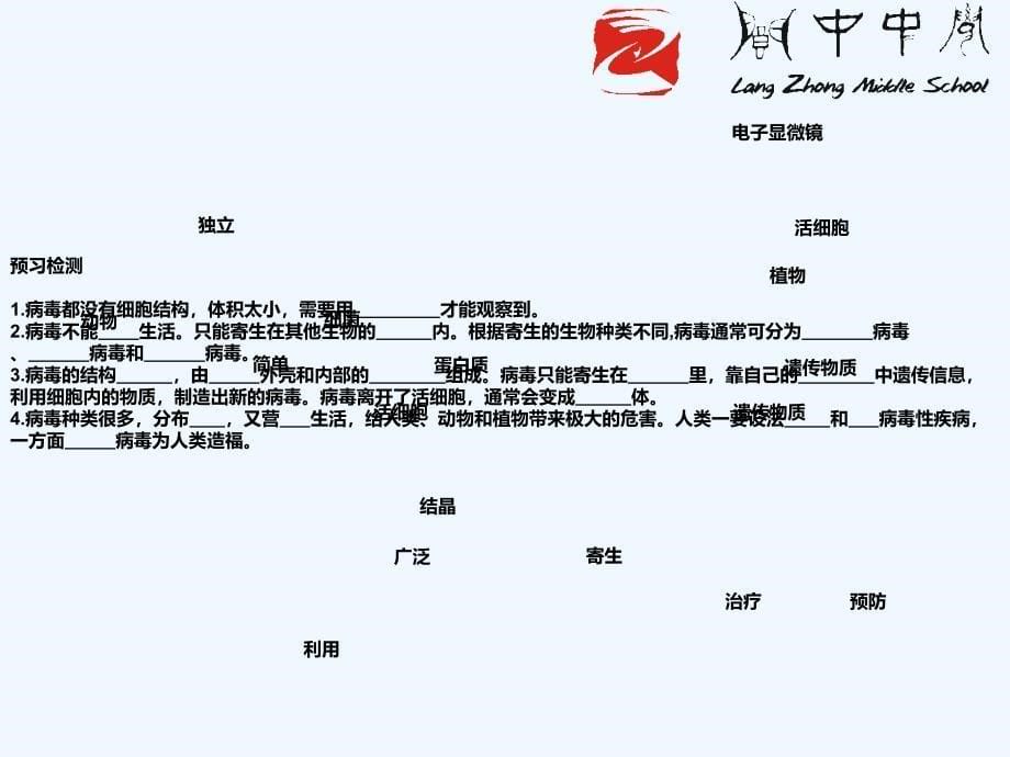 人教版第五章病毒课件新人教版_第5页