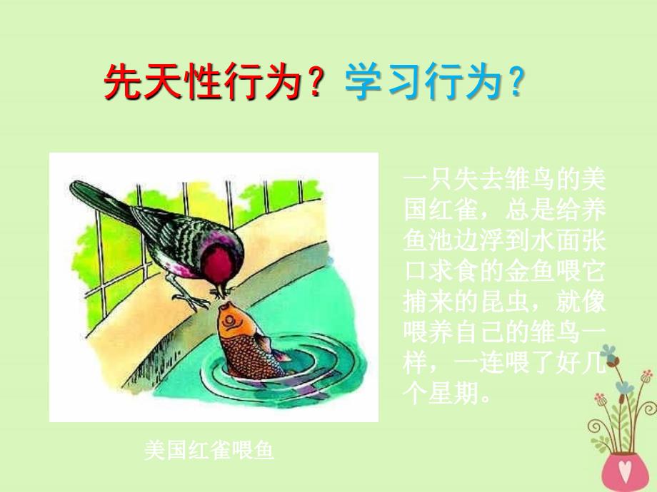 北京课改版秋学期八年级生物上册教学ppt课件92动物的行为_第4页