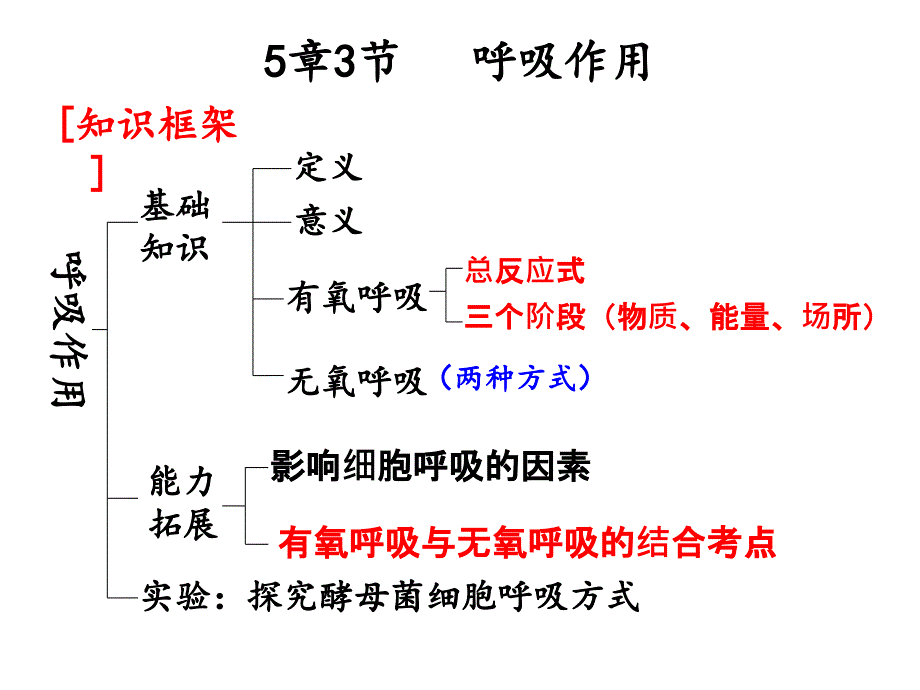 一轮复习——呼吸作用课件_第1页