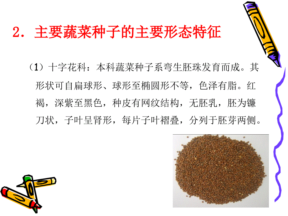 蔬菜种子形态识别_第4页