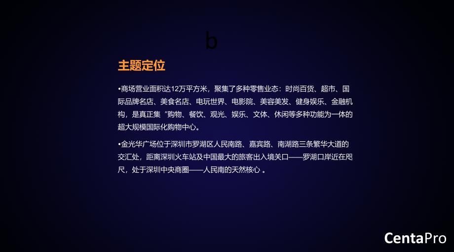 9月深圳金光华广场调研分析报告30页_第4页