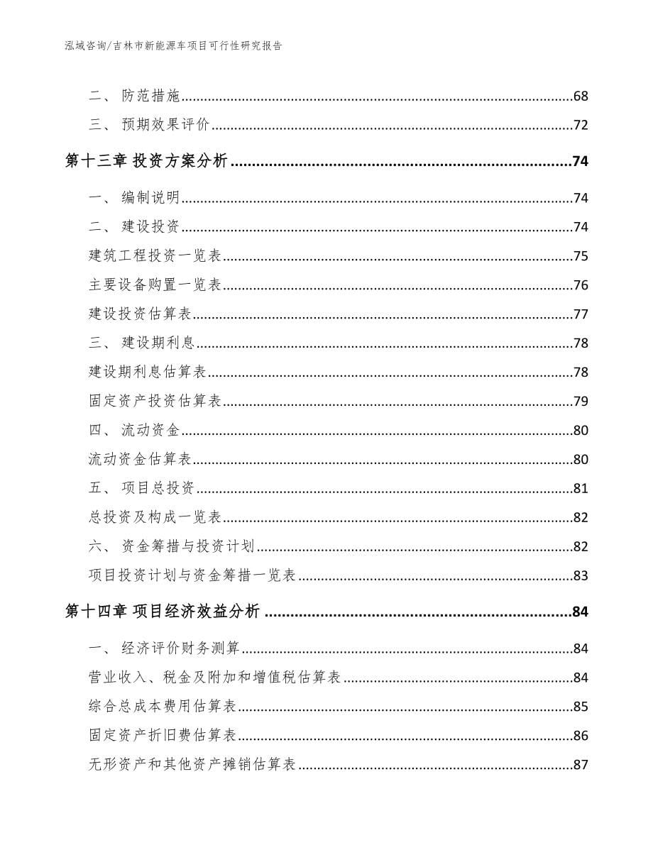 吉林市新能源车项目可行性研究报告范文模板_第5页