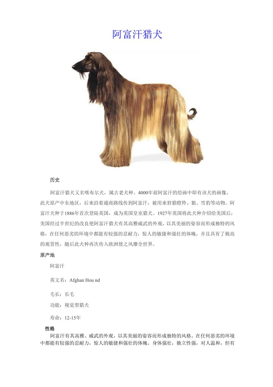 阿富汗猎犬_第1页