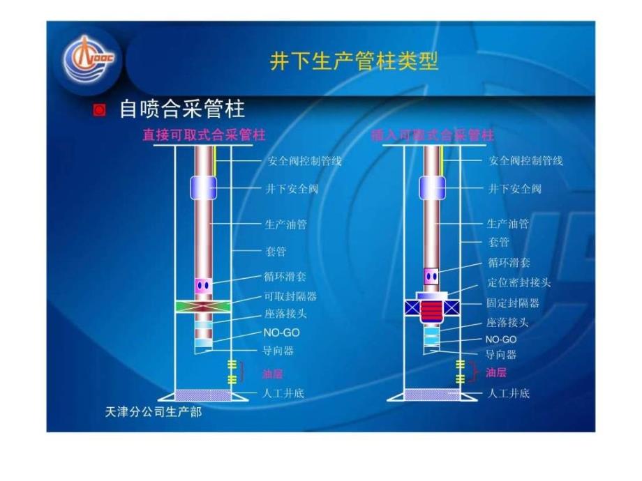渤海自营油田井下管柱类型及工具_第4页