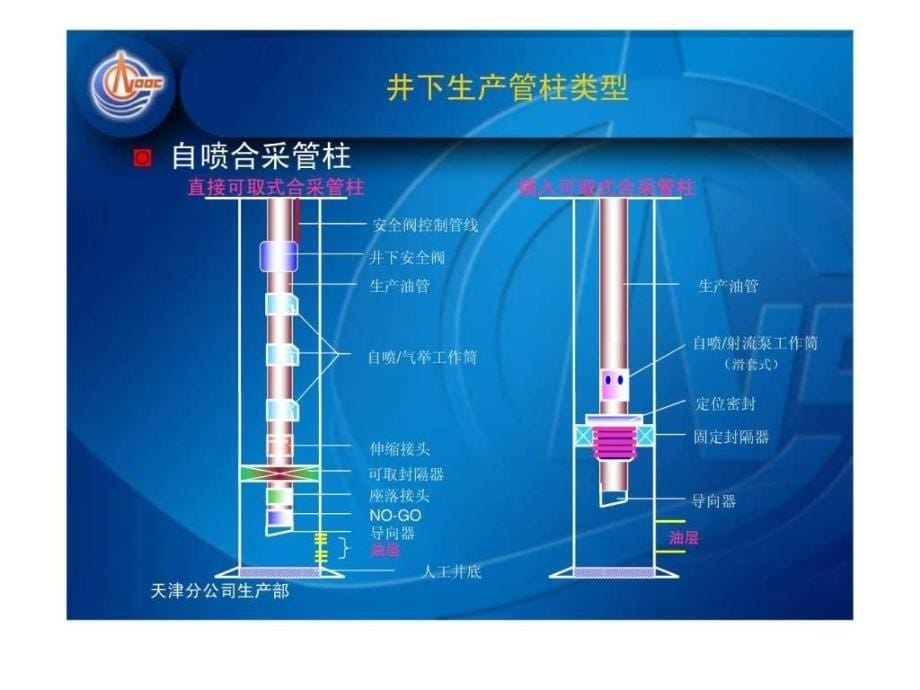 渤海自营油田井下管柱类型及工具_第5页