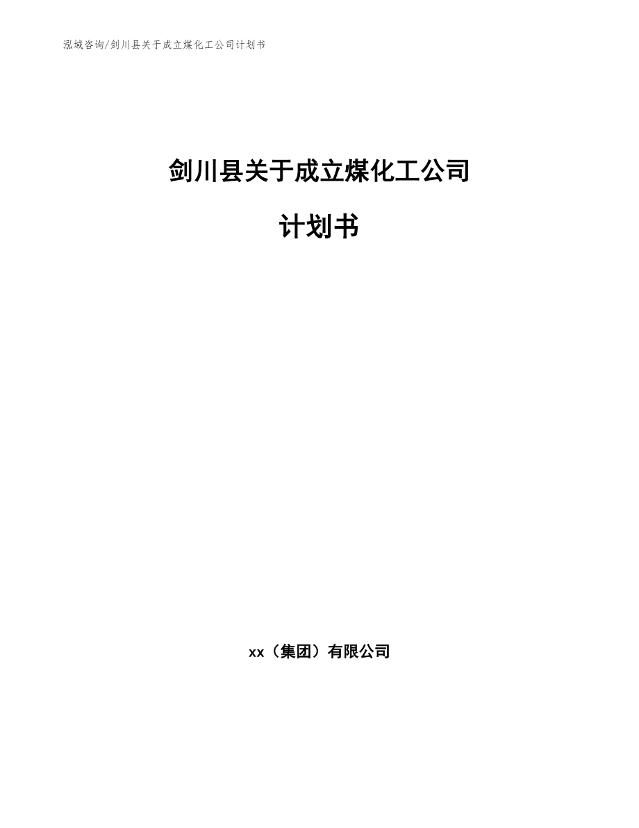 剑川县关于成立煤化工公司计划书_第1页