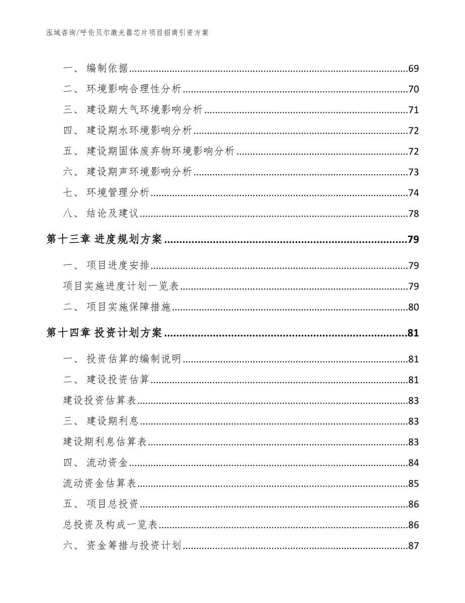 呼伦贝尔激光器芯片项目招商引资方案模板范本_第5页