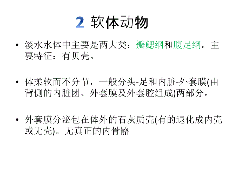 底栖动物张大龙ppt课件_第4页