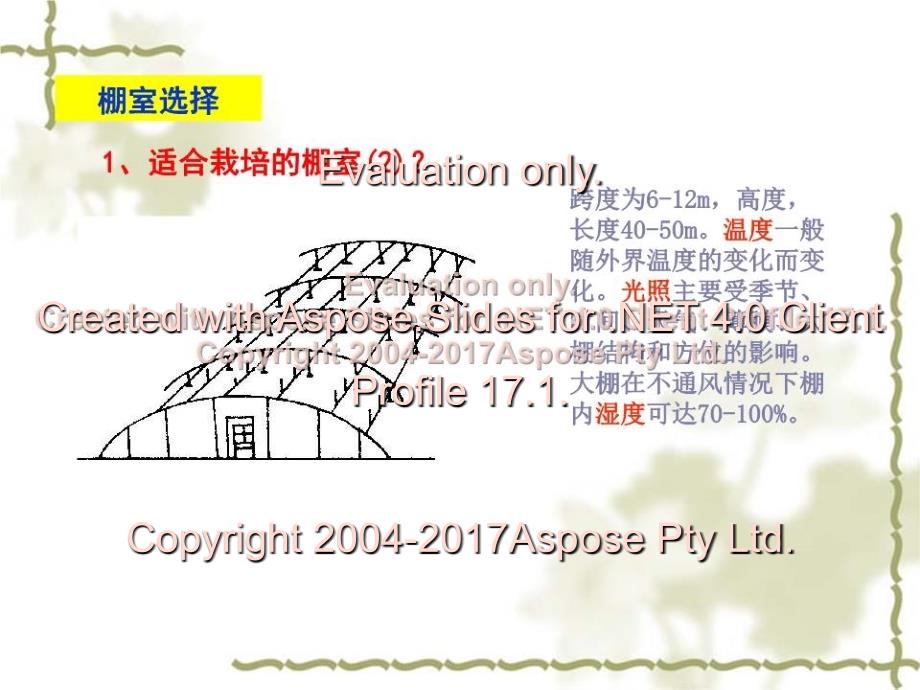 农业技术培训-番茄栽培_第3页