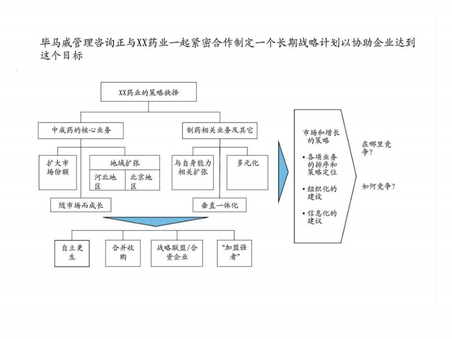 XX药业营销分析及策略丶组织丶运作管理方案设计_第4页