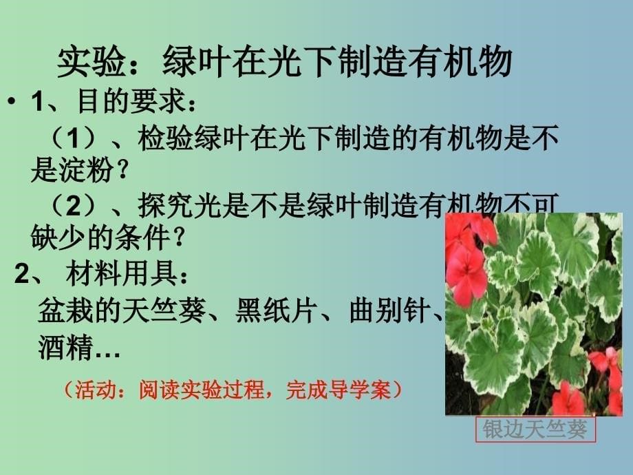 七年级生物上册第三单元第四章绿色植物是生物圈中有机物的制造者课件新版新人教版.ppt_第5页