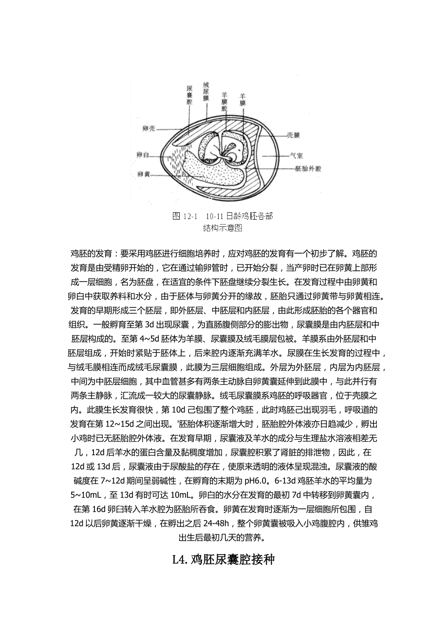 HA-HI与免疫荧光.docx_第3页