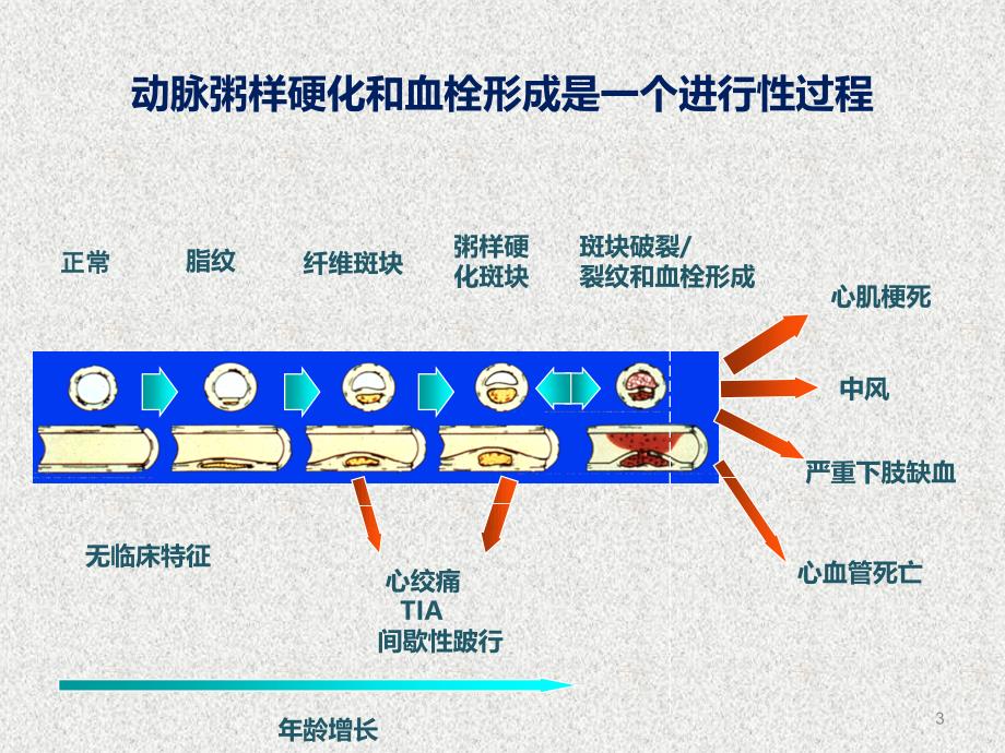 抗血小板凝集药物ppt课件1_第3页