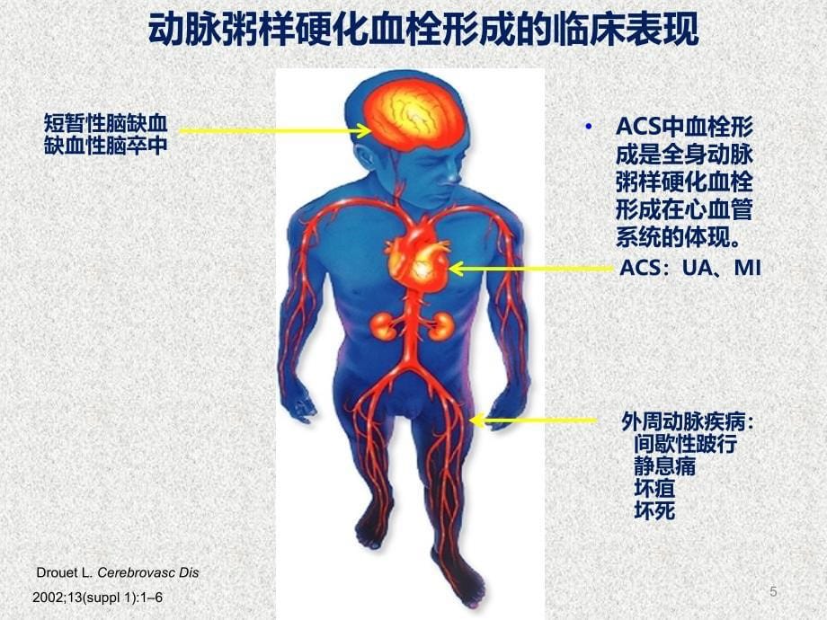 抗血小板凝集药物ppt课件1_第5页