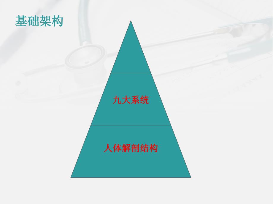 人体解剖学文档资料_第2页