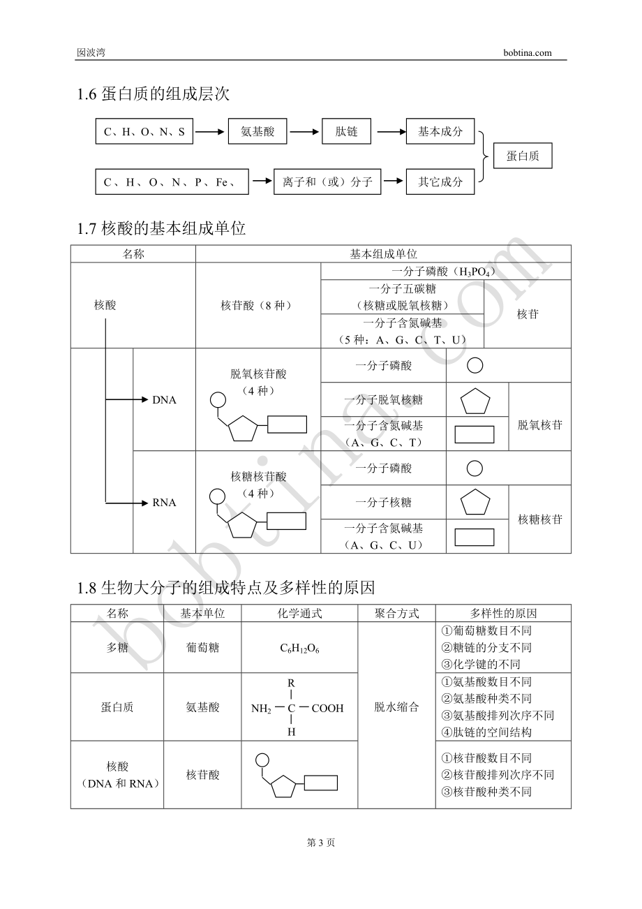 高三第二轮复习生物知识结构网络_第3页