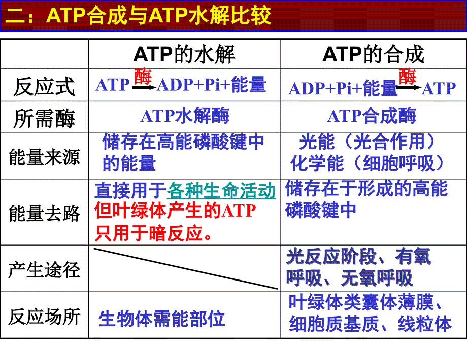 ATP的结构、功能、利用_第4页