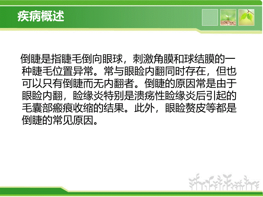 睑内翻矫正术PPT幻灯片课件_第2页