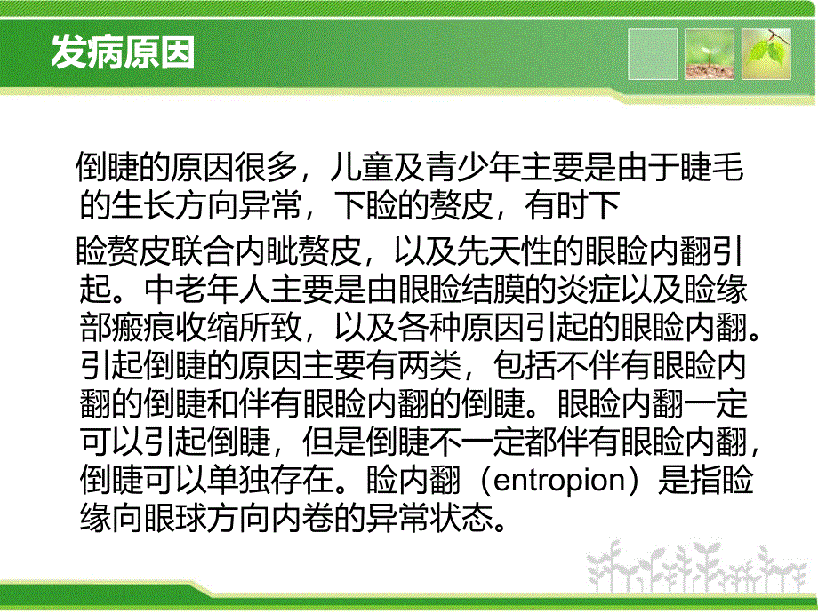 睑内翻矫正术PPT幻灯片课件_第4页