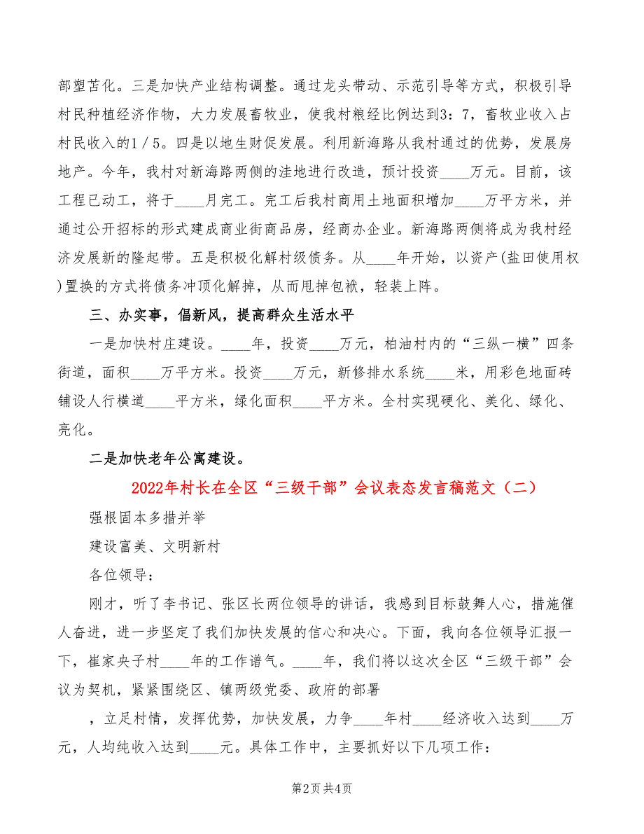 2022年村长在全区“三级干部”会议表态发言稿范文_第2页