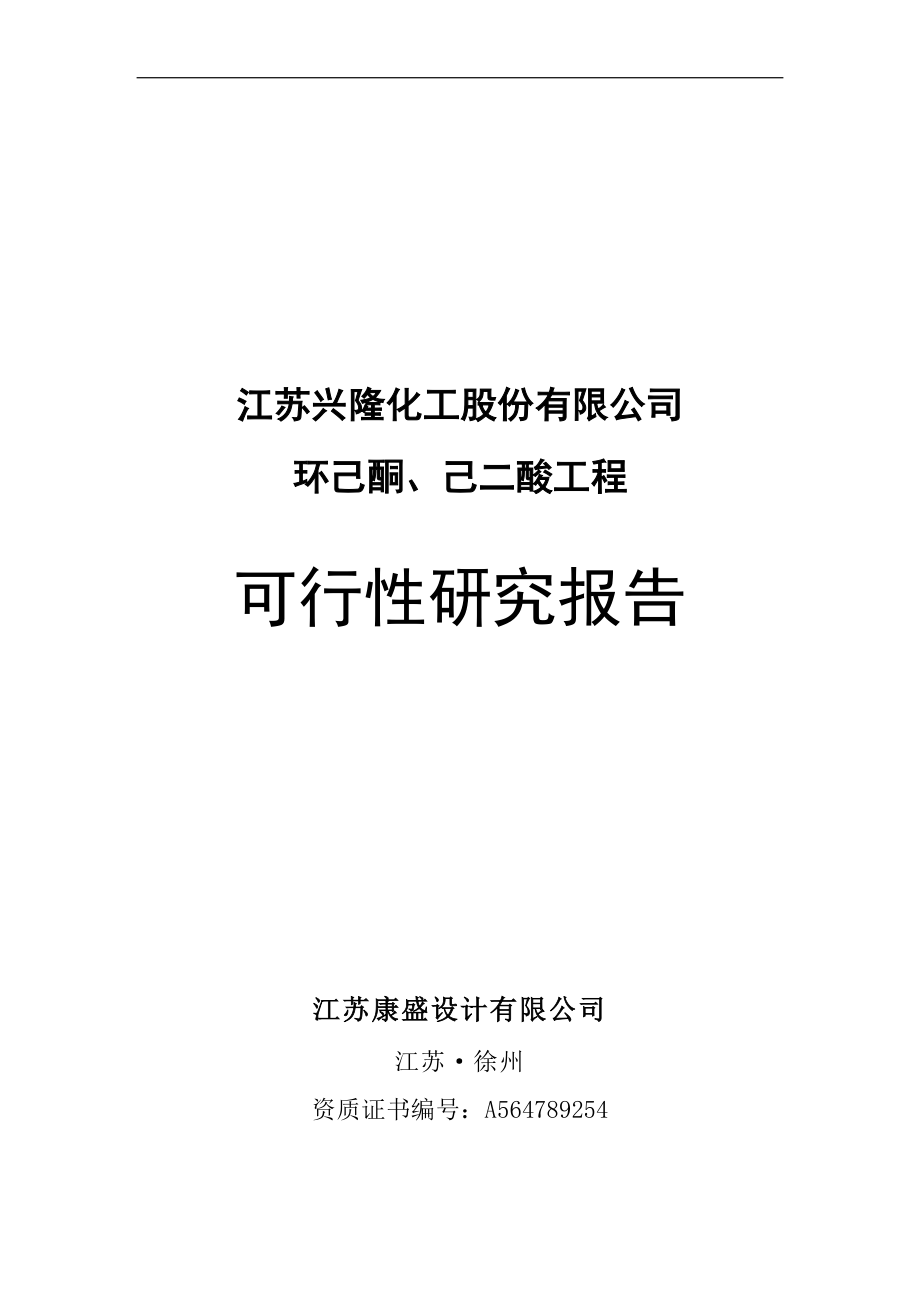 某化工公司环己酮及己二酸工程项目谋划建议书.doc_第1页