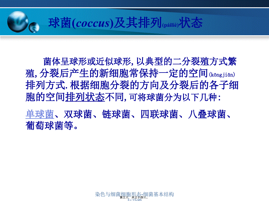 染色与细菌细胞形态细菌基本结构与功能课件_第3页