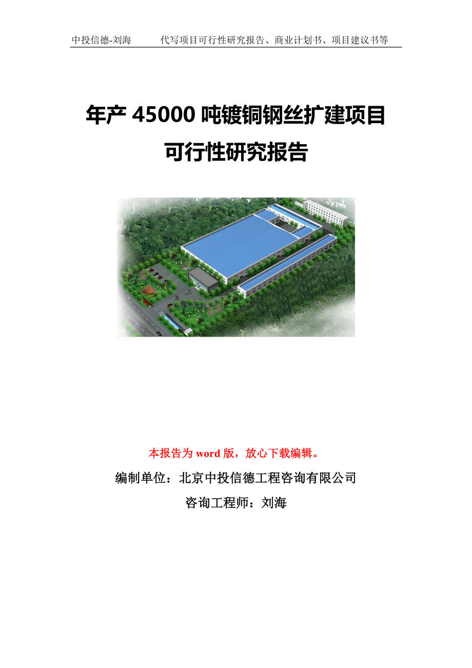 年产45000吨镀铜钢丝扩建项目可行性研究报告写作模板-代写定制_第1页