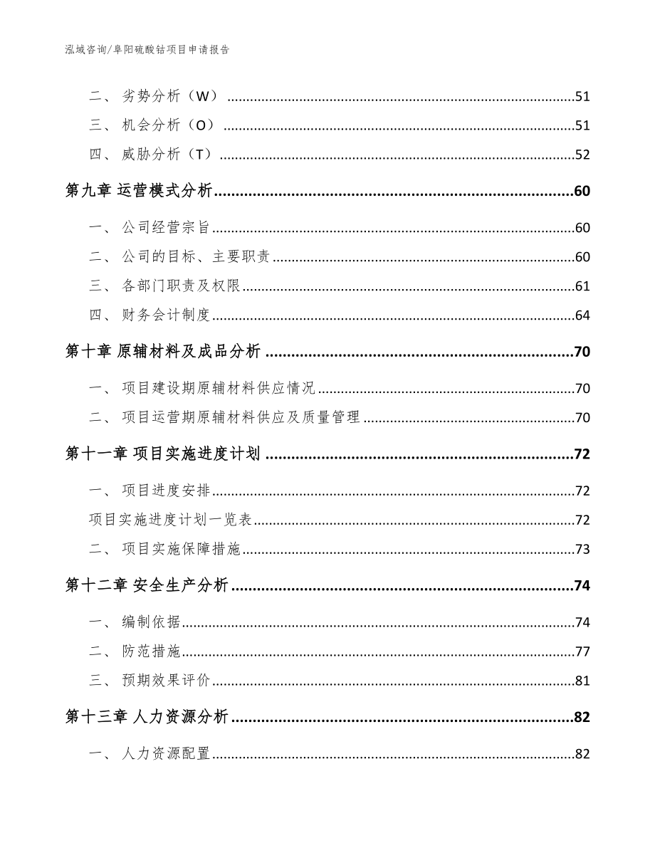 阜阳硫酸钴项目申请报告【参考范文】_第4页