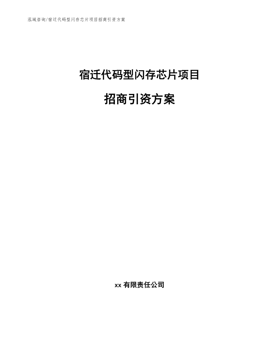 宿迁代码型闪存芯片项目招商引资方案_第1页