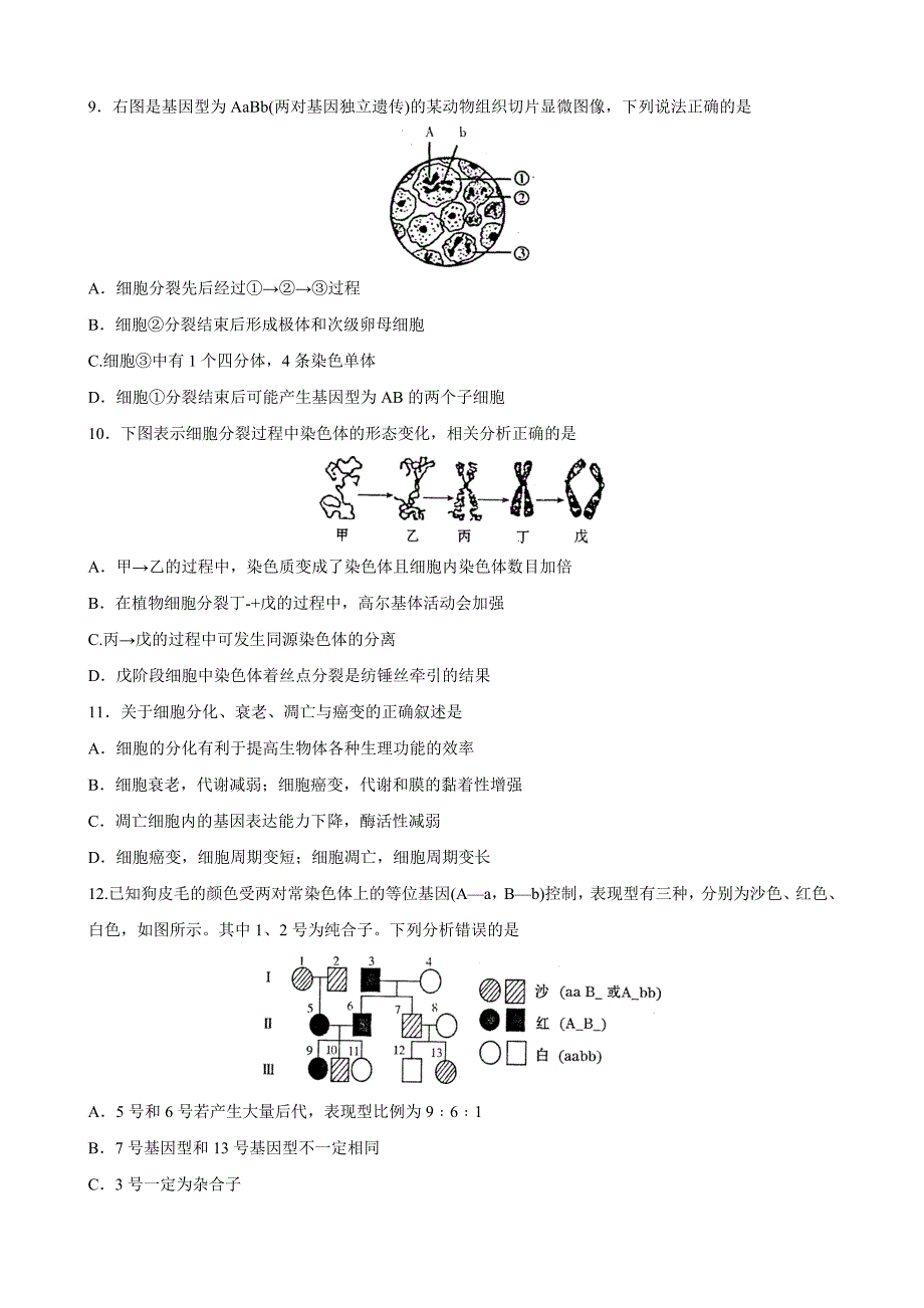 山东省临沂市高三教学质量检测考试生物_第3页