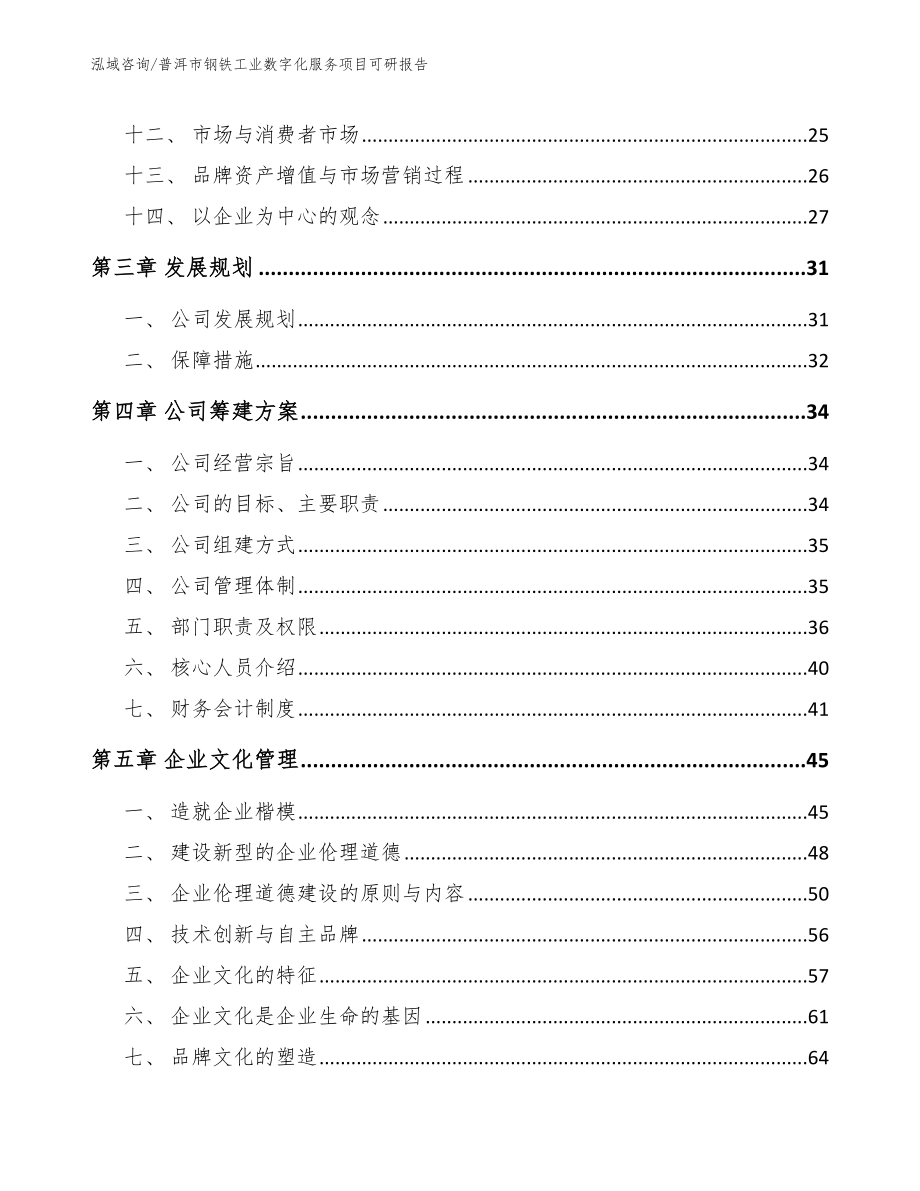 普洱市钢铁工业数字化服务项目可研报告_第2页