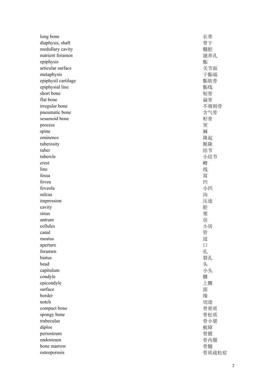 系统解剖学 单词 (3).doc_第2页