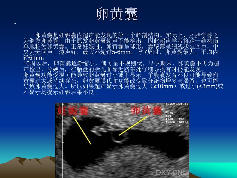 胎儿正常超声王晋连云港_第3页