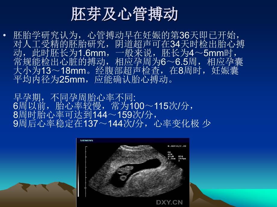 胎儿正常超声王晋连云港_第4页