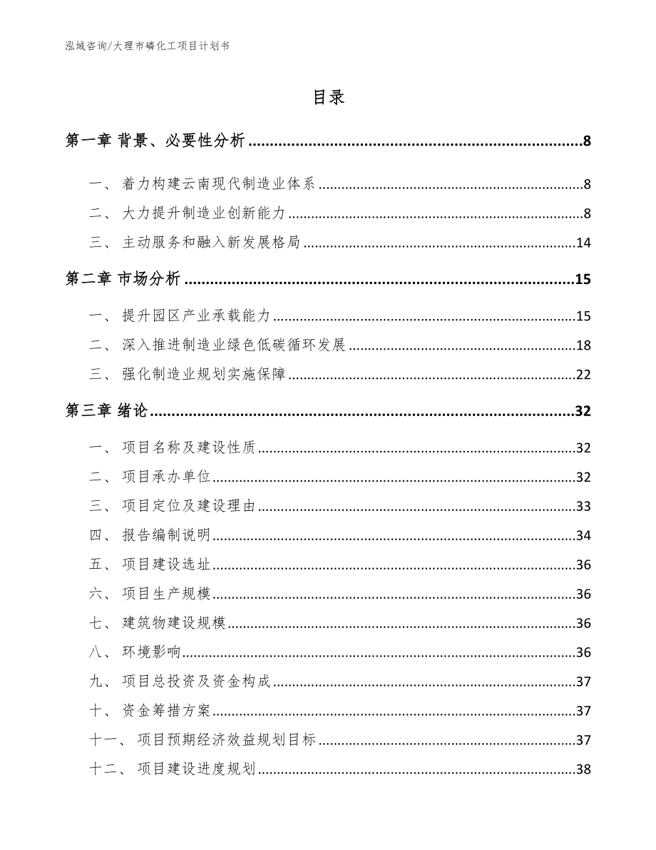 大理市磷化工项目计划书_第2页