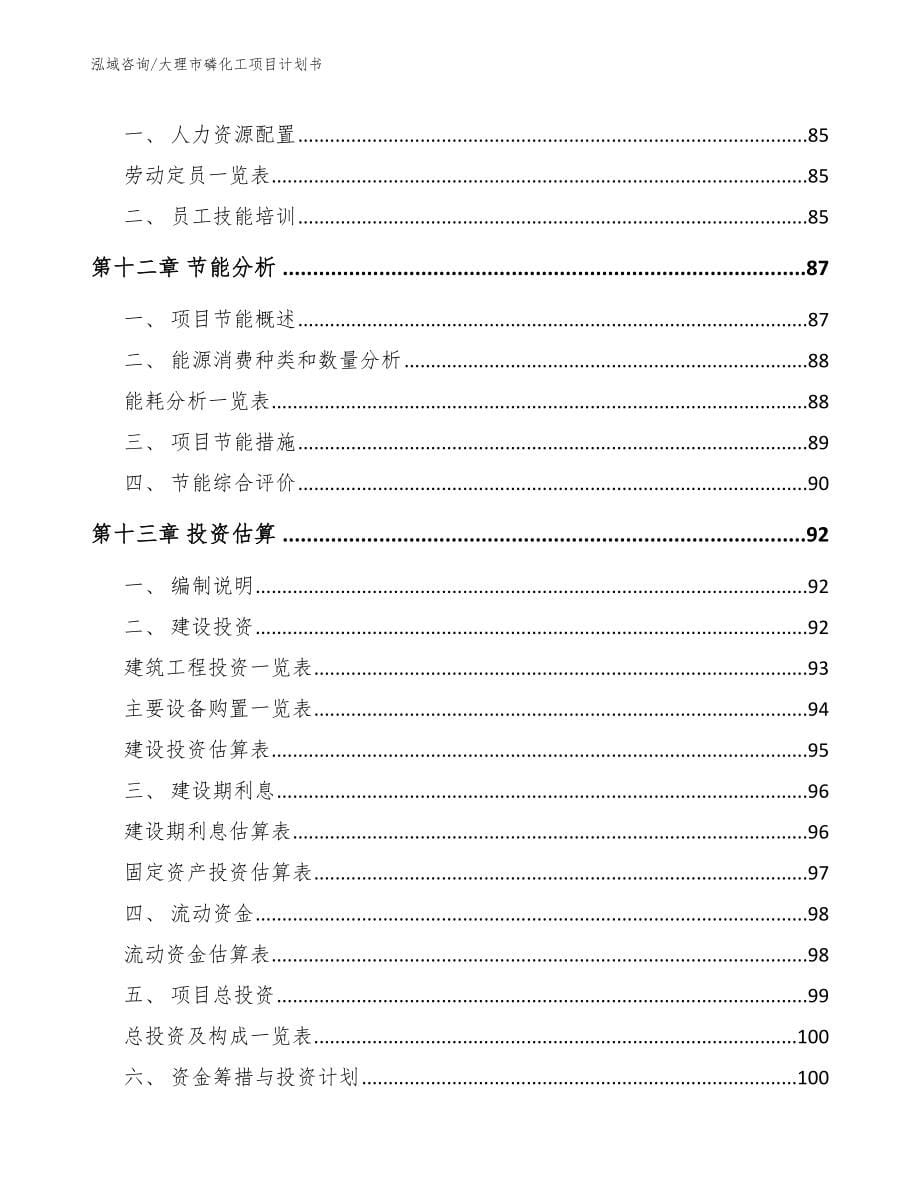 大理市磷化工项目计划书_第5页